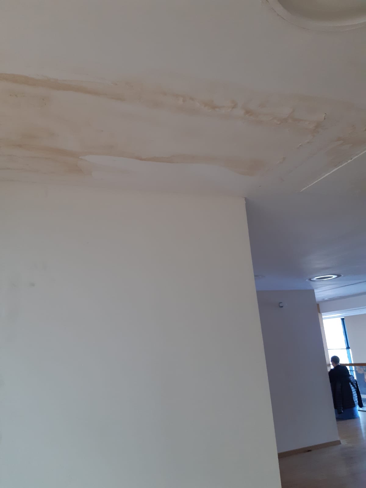Imagini cu mizeria din Biblioteca Națională: pereți mânjiți, praf, parchet rupt. Directorul Cioroianu spune că „nu are bani” și îi ceartă pe cititori