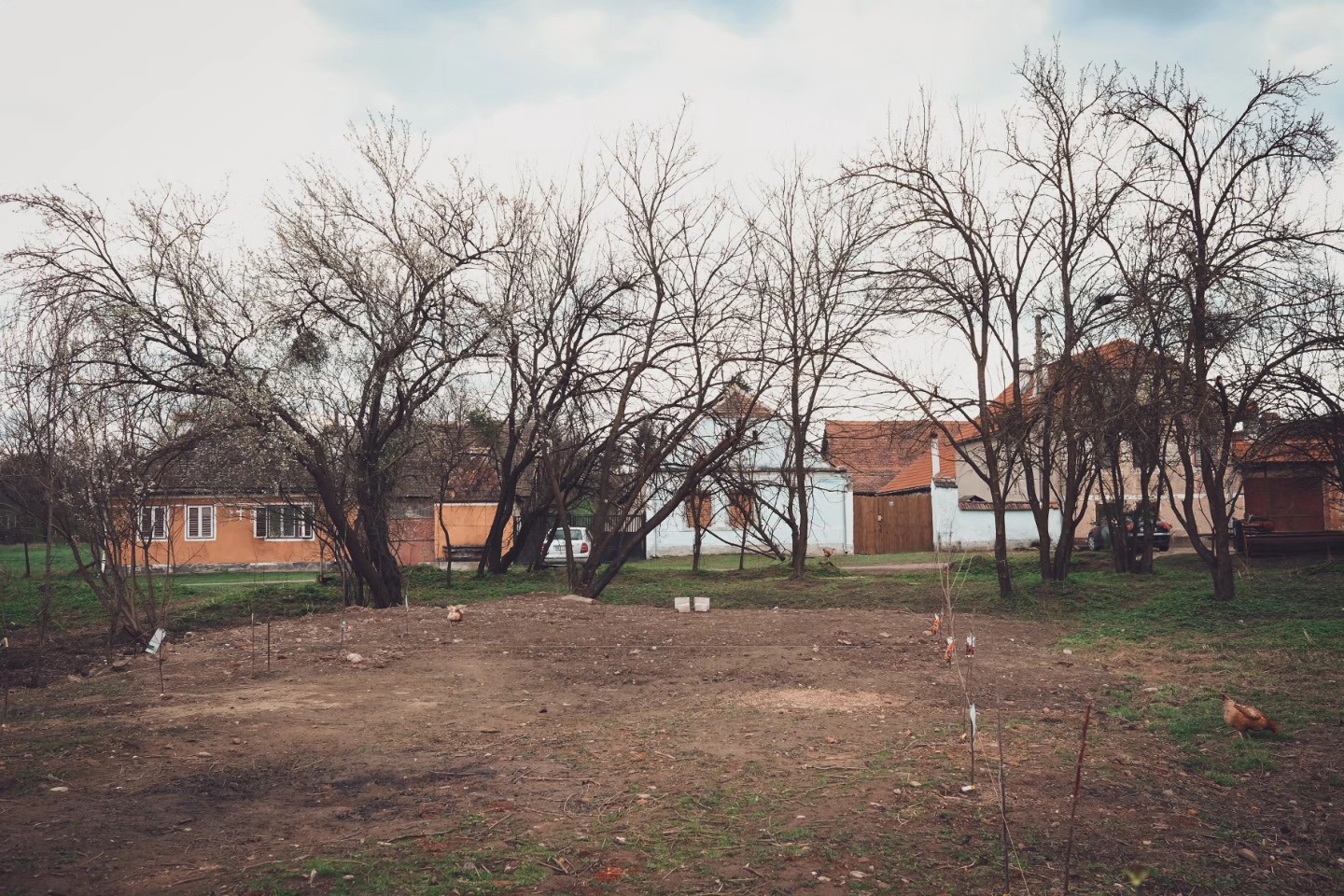 Noi imagini cu casa de la Viscri a Danei Rogoz. Cum a amenajat interiorul. „Duminică seara am ajuns. Renovarea continuă în curte”