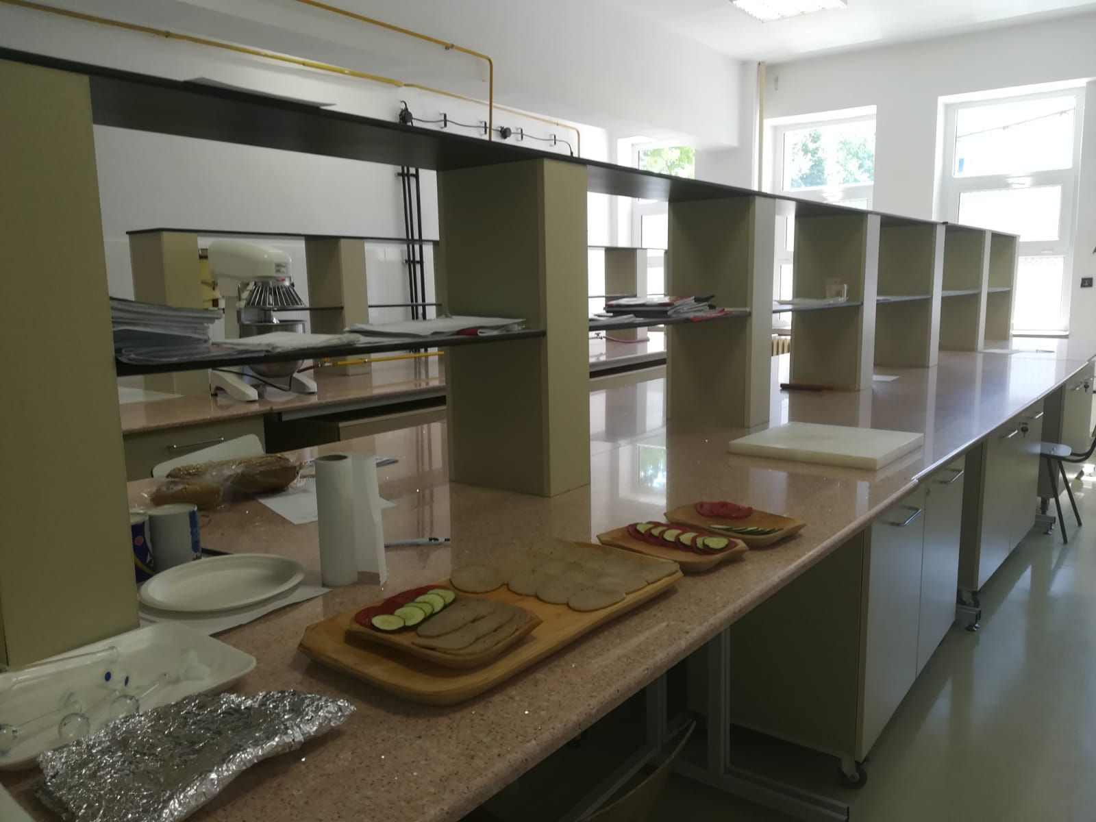 Colorant pe bază de cătină și sânge de porc pentru industria cărnii, invenție a unor profesori de la Universitatea Dunărea de Jos din Galați/ FOTO