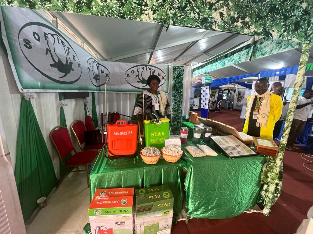 The government cites rising Sofitex debt, declining production, and inefficiencies as main reasons for nationalisation.