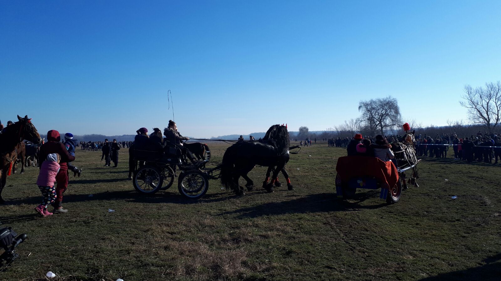 REPORTAJ: Ca să nu mai fie bătuți, caii nu mai intră la proba de tracțiune, la Botezul Cailor de la Pietroșani| FOTO