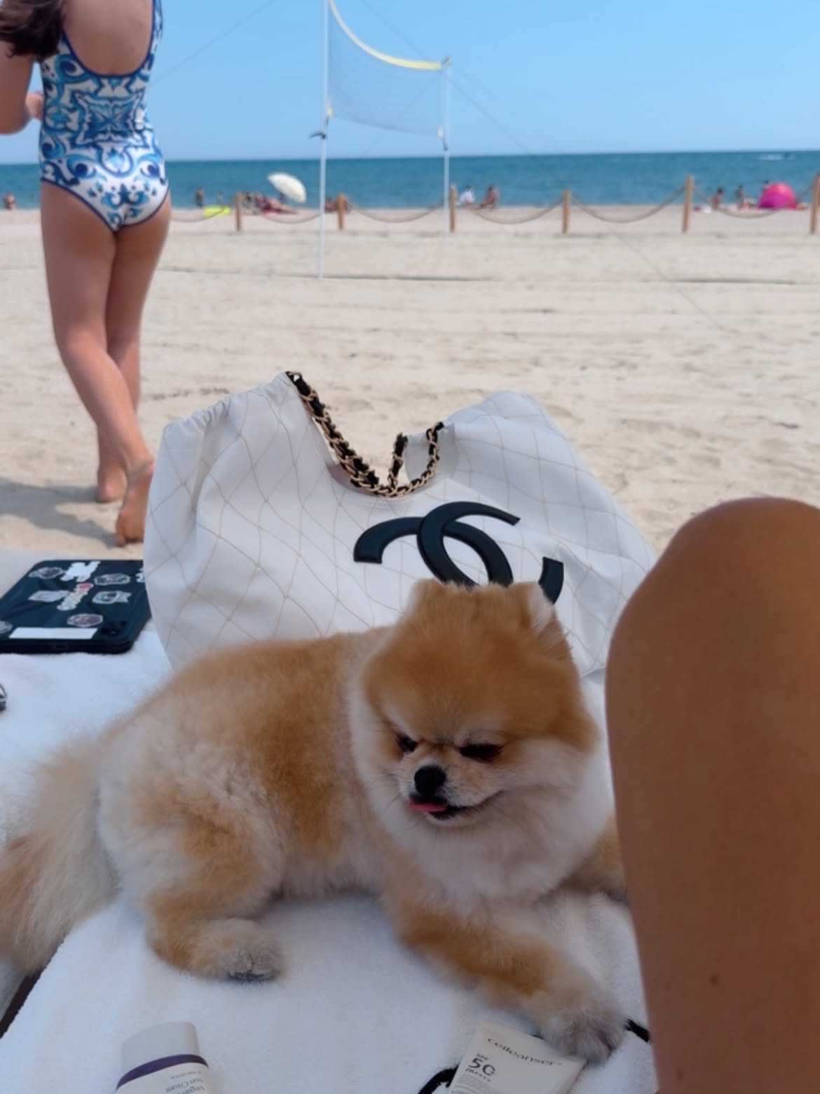 Cum a apărut Bianca Drăgușanu pe plaja din Mamaia. Instagram vs realitate