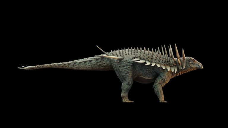 Spicomellus