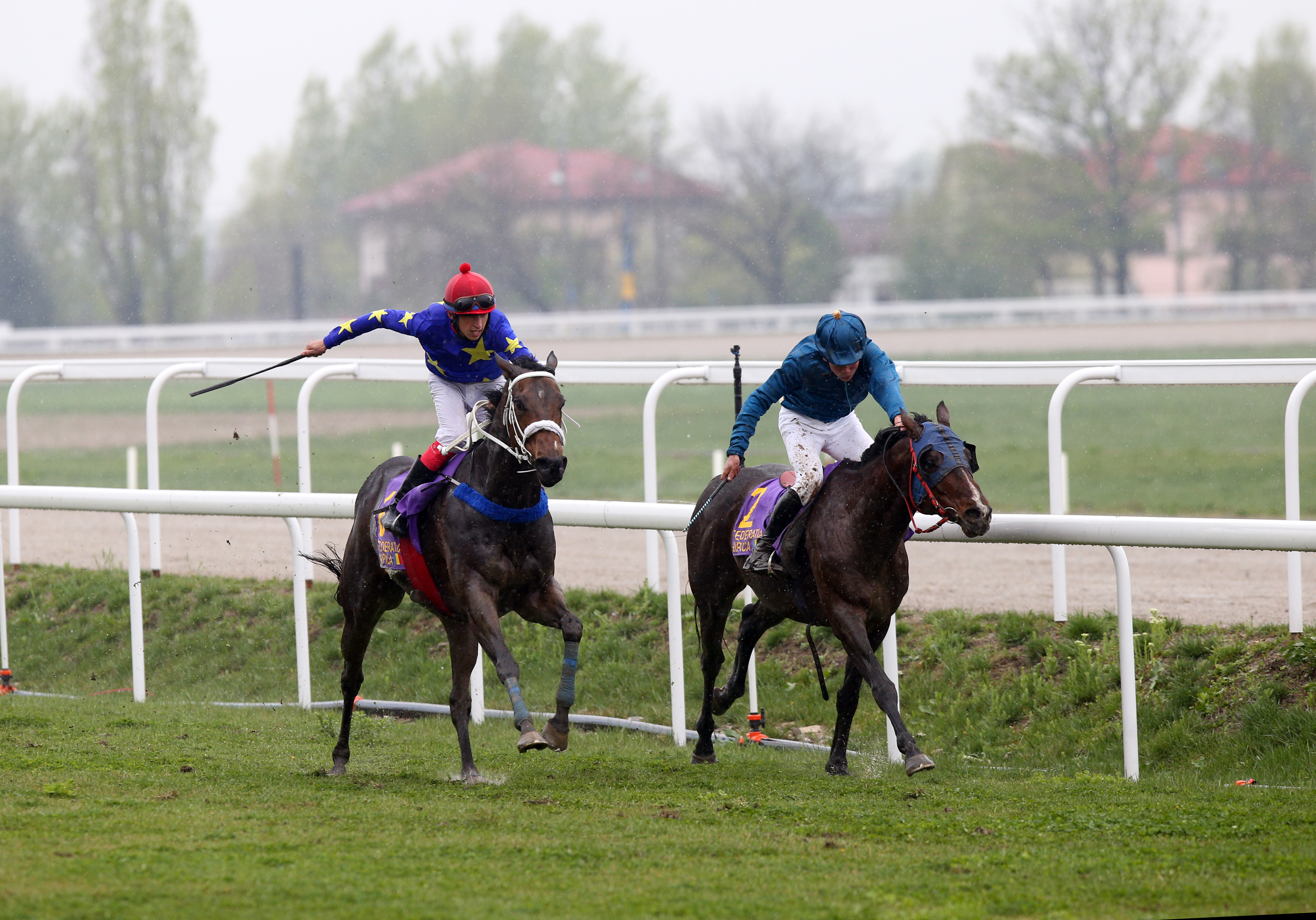 FOTO | Armăsarul - iapa = remiză. Bădie și Histoire D’Inverne și-au împărțit victoriile în primele curse din 2019 de pe hipodromul din Ploiești!