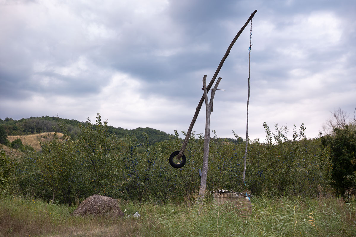 Unde se duc prunele din Coca-Antimirești, Buzău, când se coc: „La porci. Cerbii mănâncă de trosnesc. Vin urșii, mistreții. N-avem unde vinde”