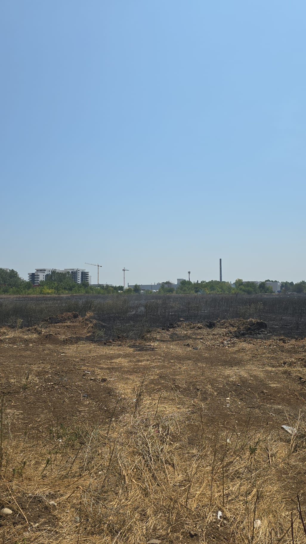 Incendiu în Chiajna. Au ars aproximativ 50.000 mp de vegetație uscată