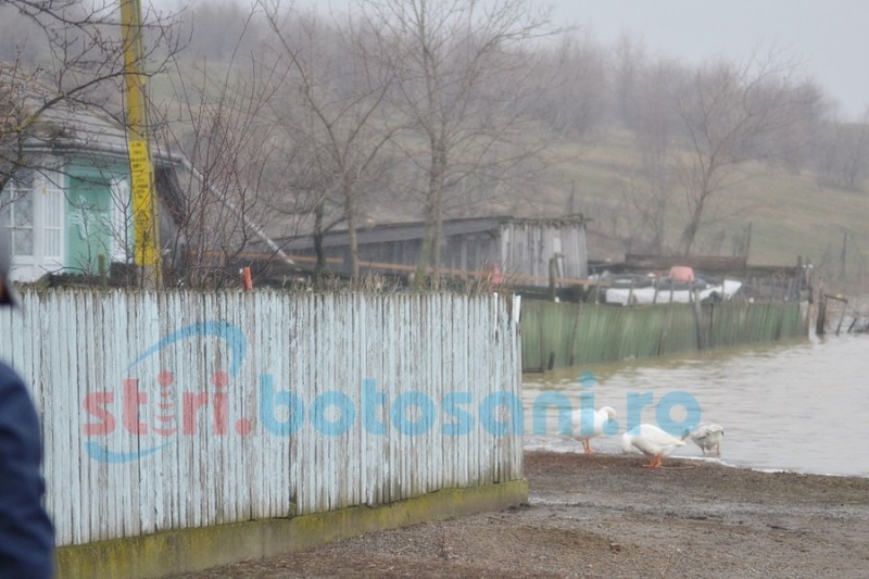 Inundații în județul Botoșani. Zeci de bătrâni sunt izolați din cauza apelor