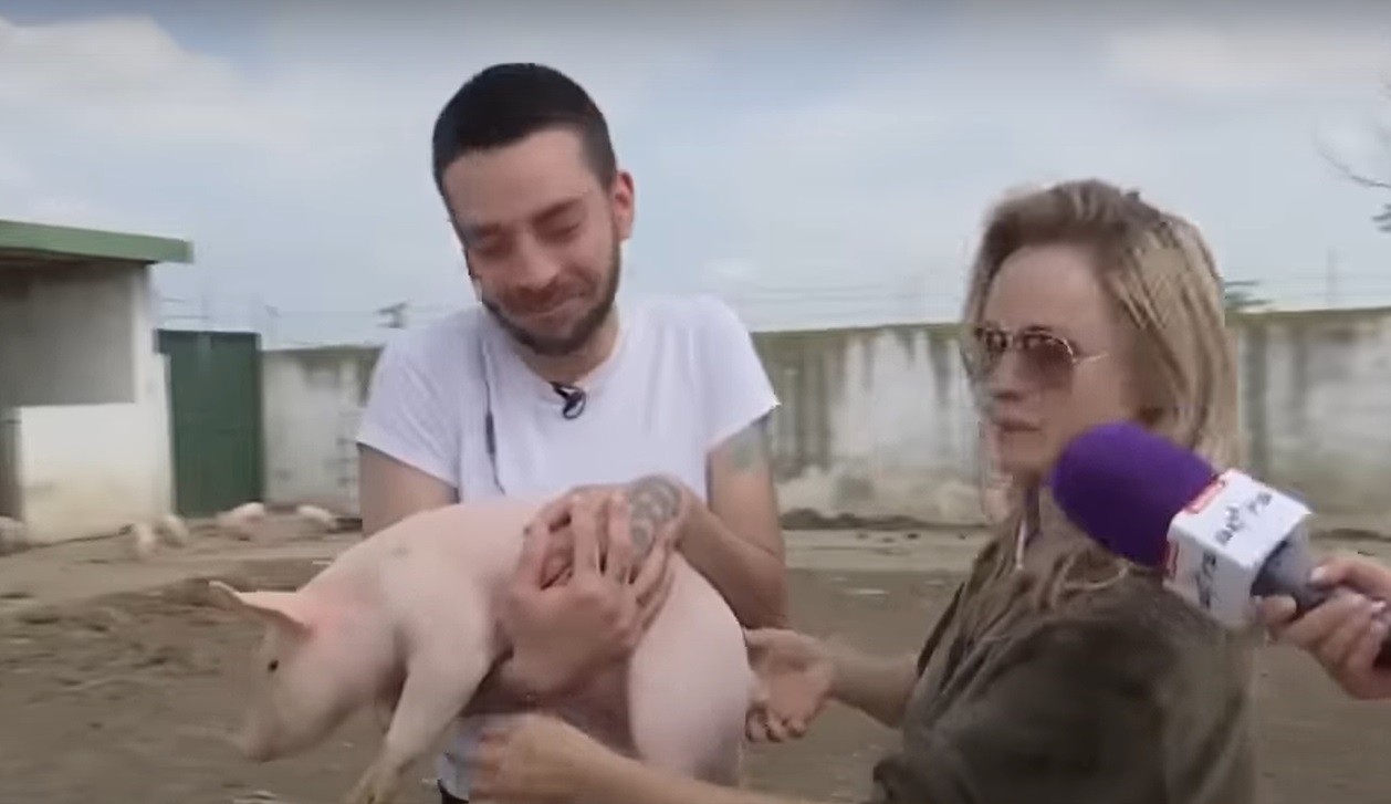 David Pușcaș a dat probe de angajare la o fermă. Când a văzut purceii, a început să urle: „Am crezut că mă mușcă de picioare”