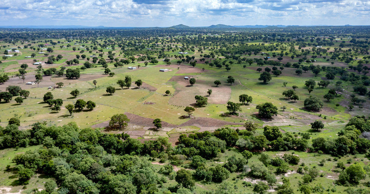 Top 5 commercial African cities with the best climate in 2026