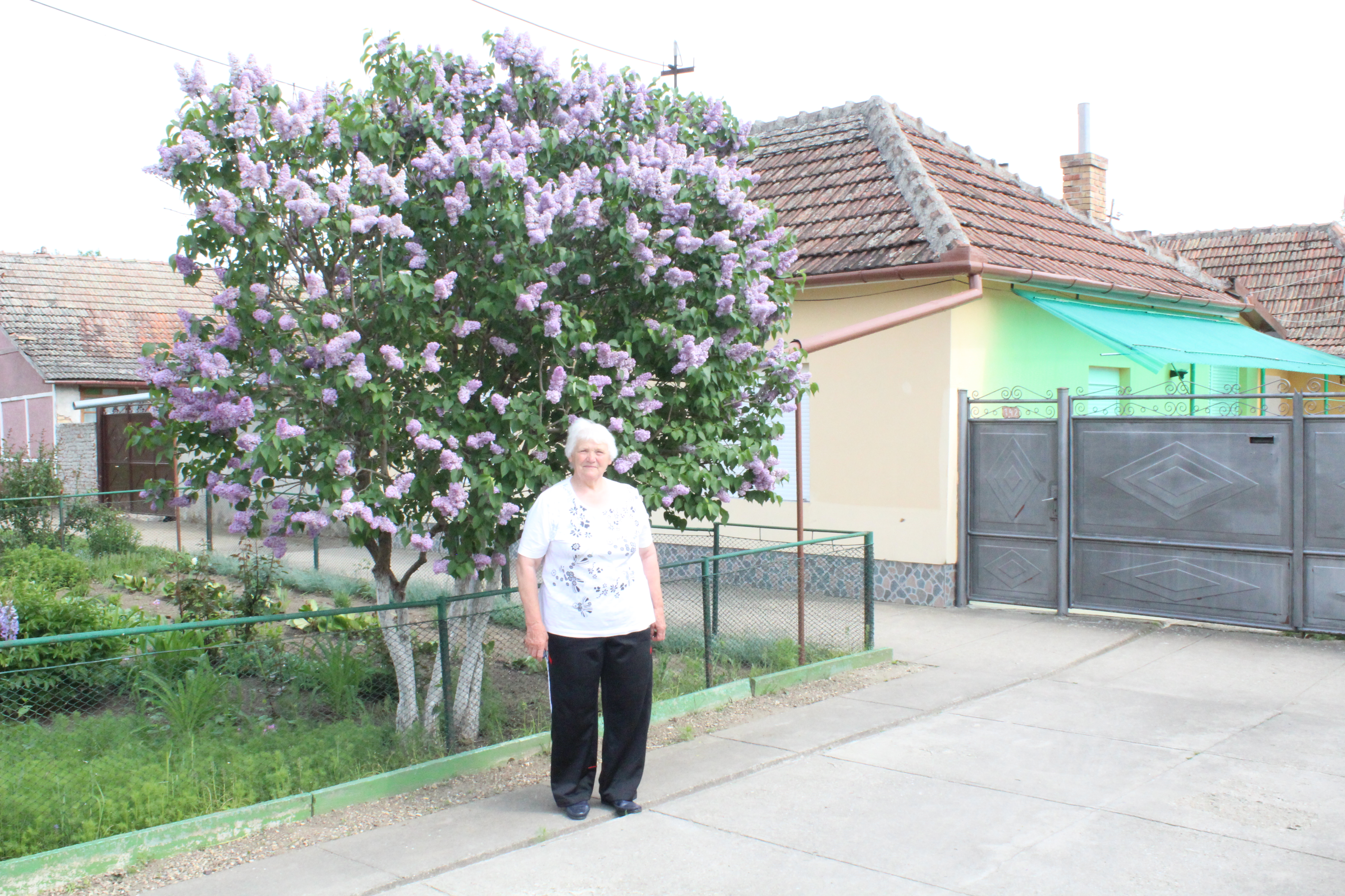 Mama lui Duckadam dezvăluie: ”Vindeam porci, ca să-i putem cumpăra de încălțat lui Helmuth!” / FOTO
