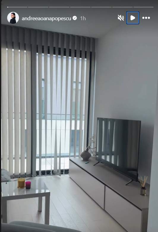 Noi imagini din penthouse-ul Andreei Popescu
