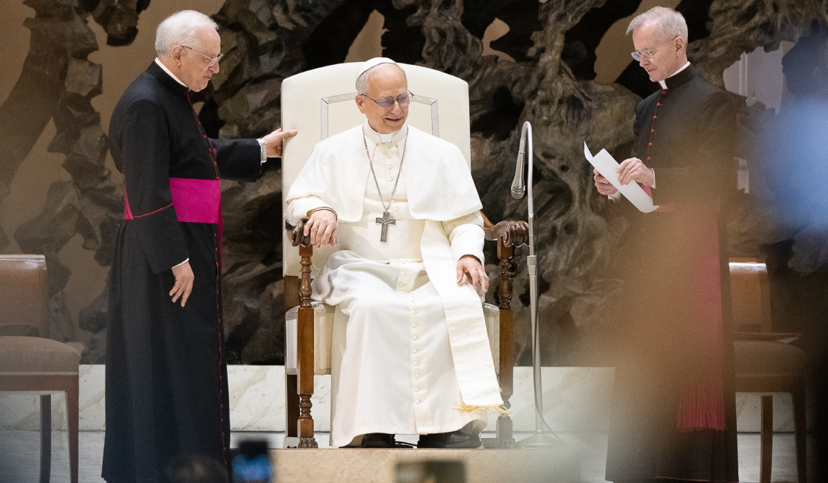 Cum s-a îmbrăcat Simona Halep la întâlnirea cu Papa Leon la Vatican. „Un moment care va rămâne în inima mea pentru totdeauna”
