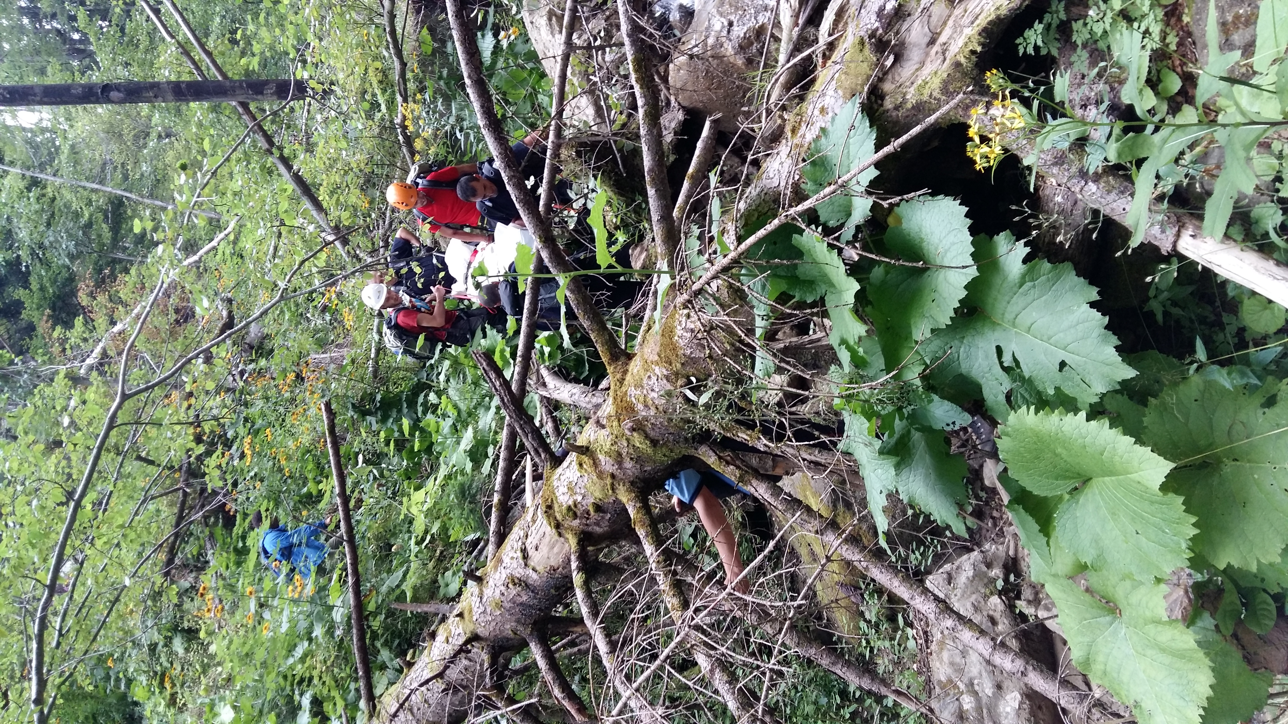 Femeie dispărută în Munții Bucegi a fost găsită moartă