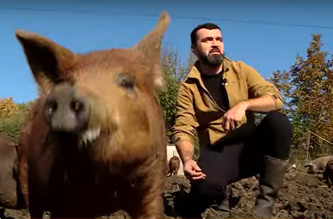 Imagini cu ferma de păsări și porci a tenorului Vlad Miriță. De la el cumpără carne Marcel Pavel, dar și Monica Anghel