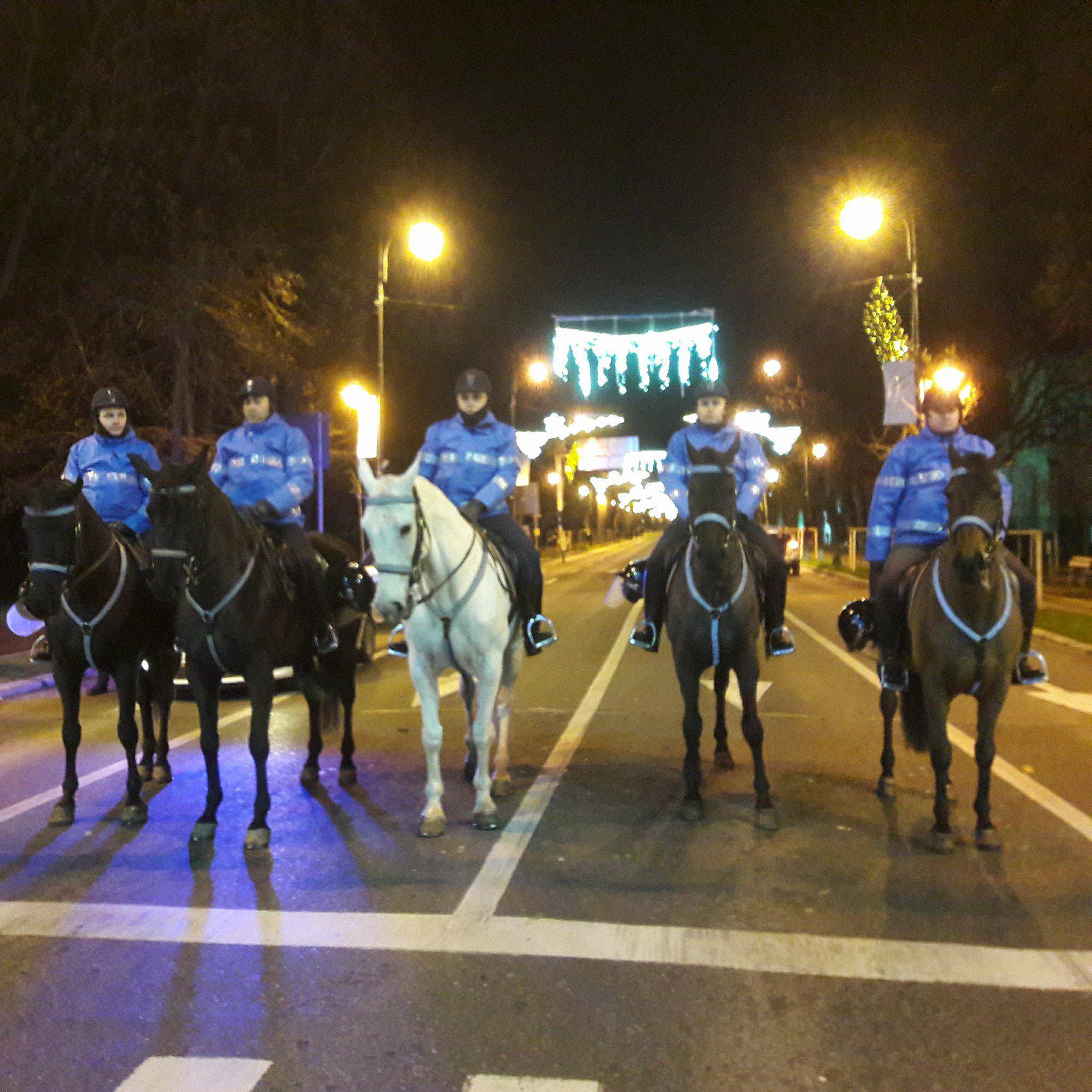VIDEO | Caii Jandarmeriei, ”atracție turistică” pentru protestatarii din Piața Victoriei