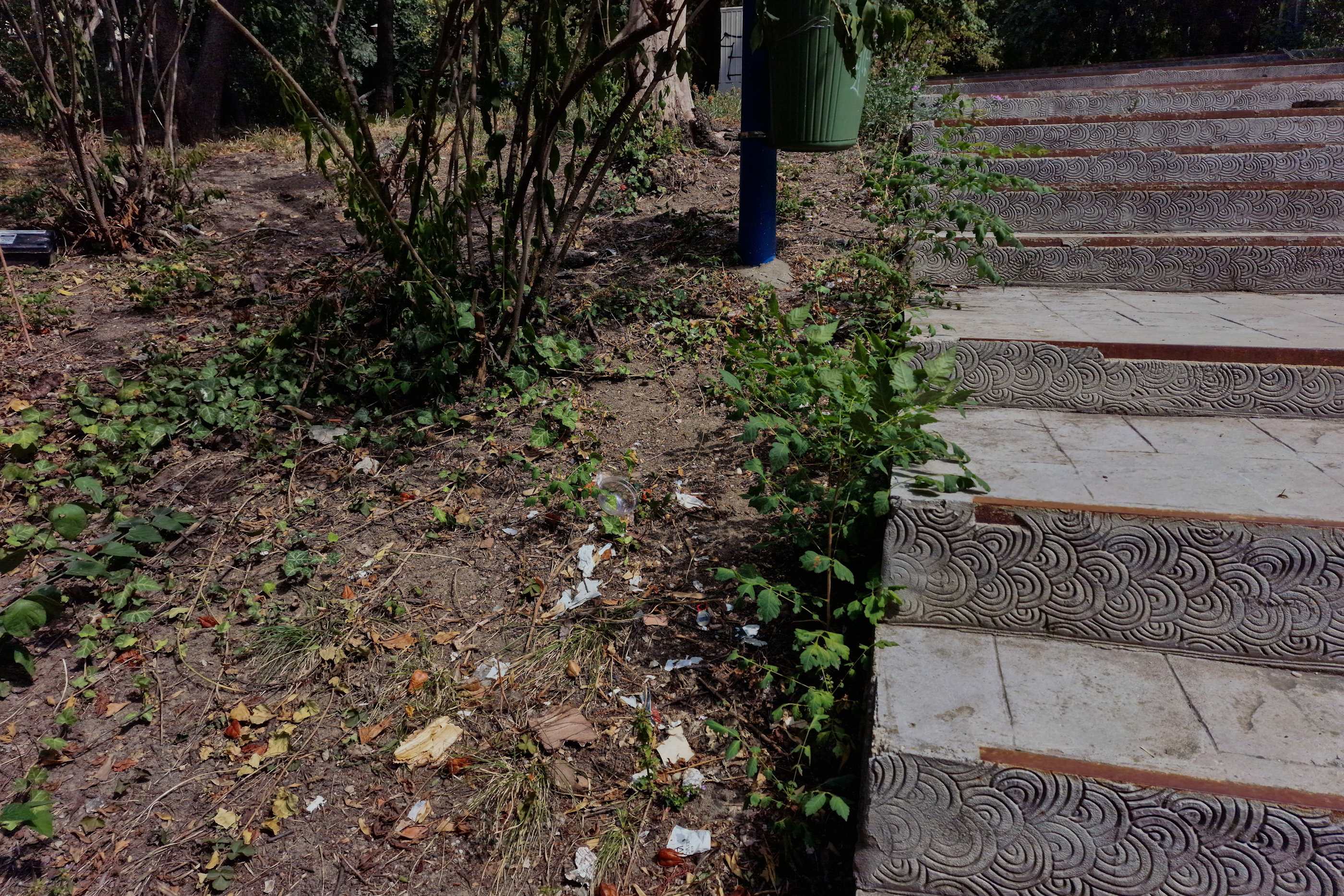 FOTO. În Parcul Circului din București, toată iarba e pârjolită. Rezistă, în schimb, gunoaiele