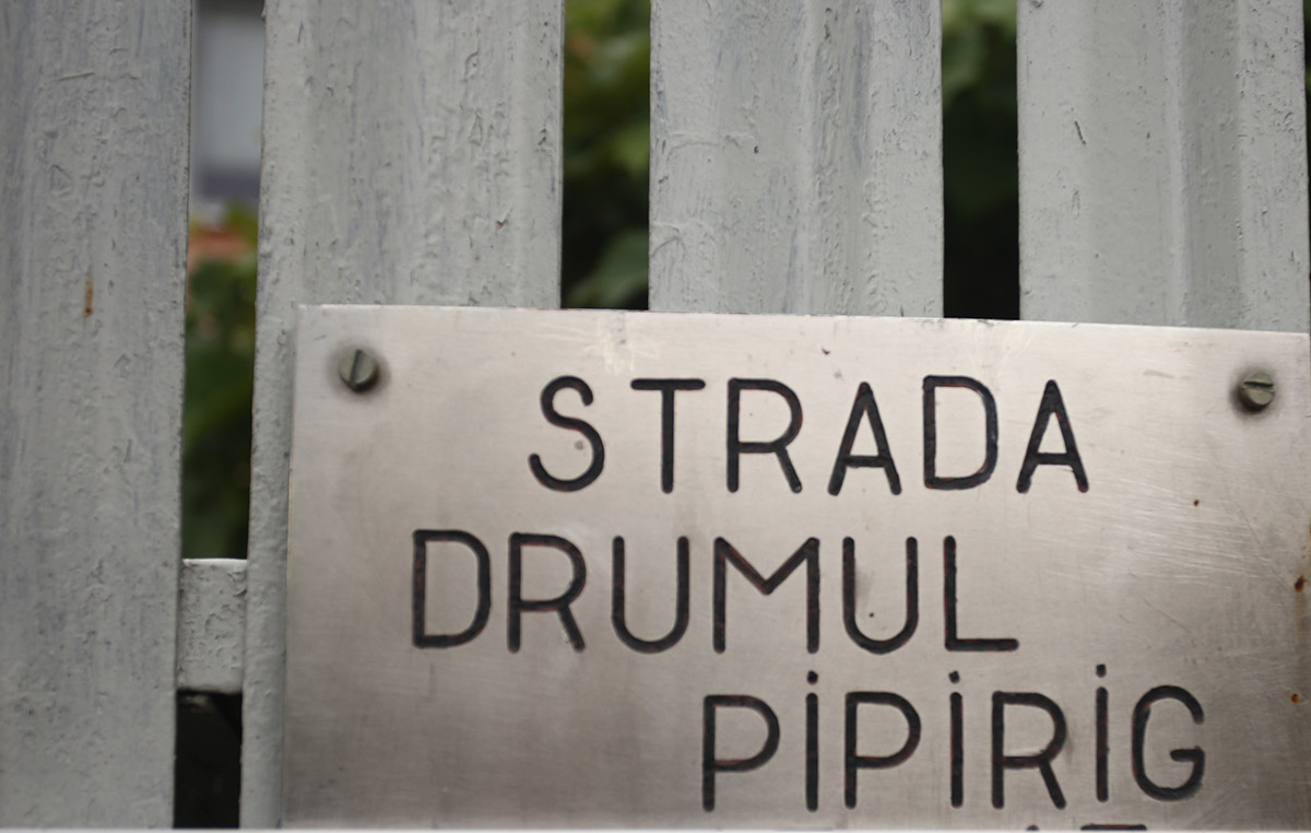 Care sunt cele 60 de străzi din București pe care trebuie să le asfalteze Nicușor Dan