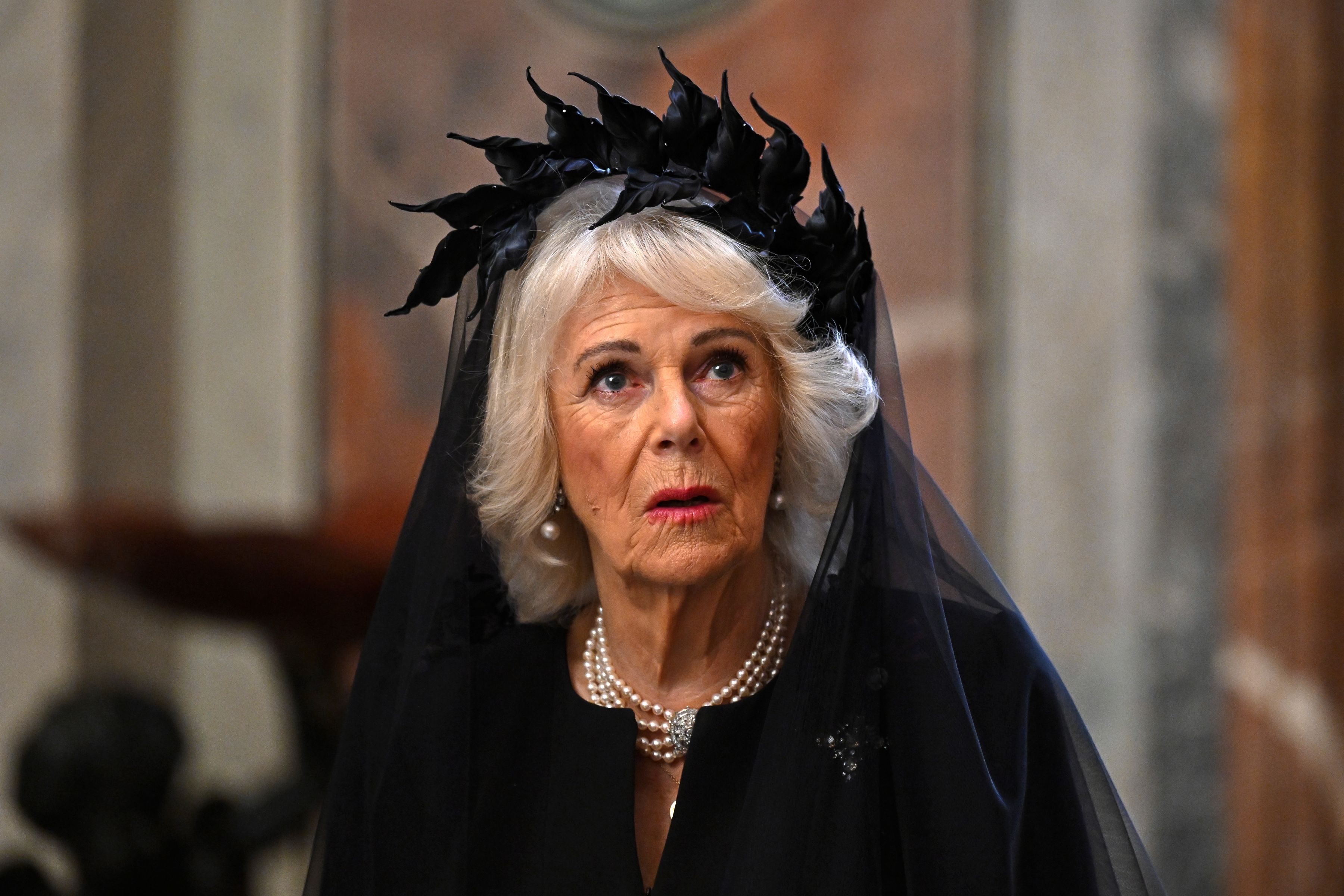 Cum a apărut regina Camilla la Vatican. Regele Charles și Papa Leon s-au rugat împreună în Capela Sixtină
