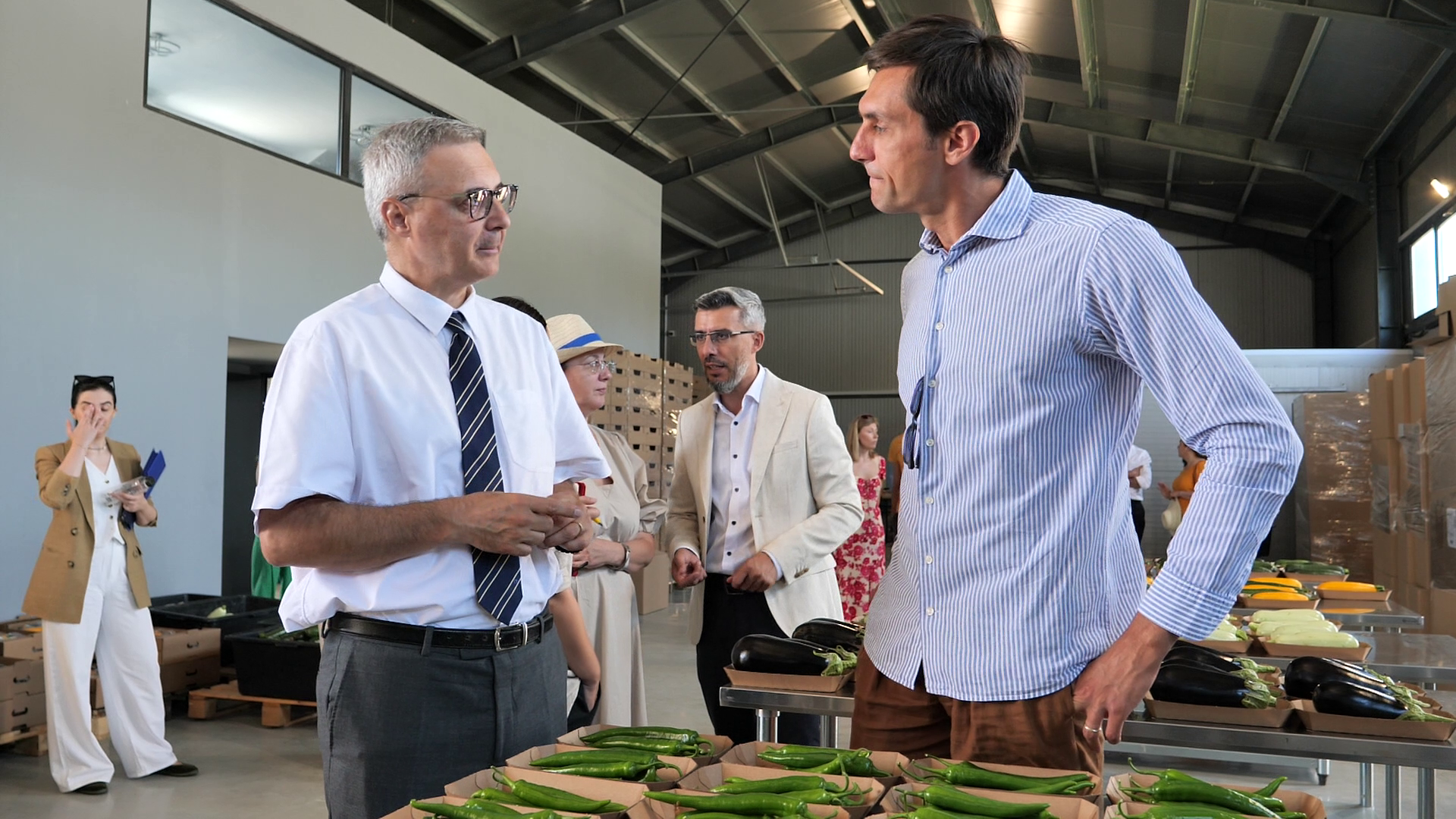 Ciprian Tătărușanu s-a apucat de agricultură și cultivă ardei iuți, dovlecei și vinete pe o suprafață de 10 hectare, în județul Dâmbovița