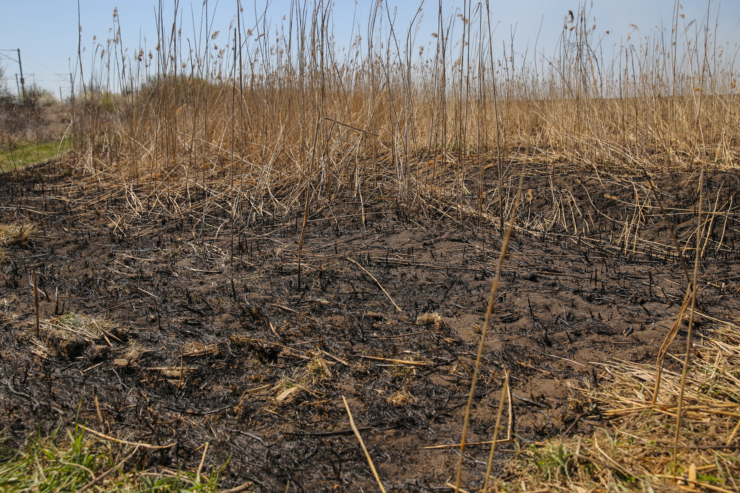 Incendiul care a poluat miercuri Bucureștiul. Cum a ajuns fosta fermă de porci din Periș, care a avut legături cu Liviu Dragnea, un dezastru ecologic