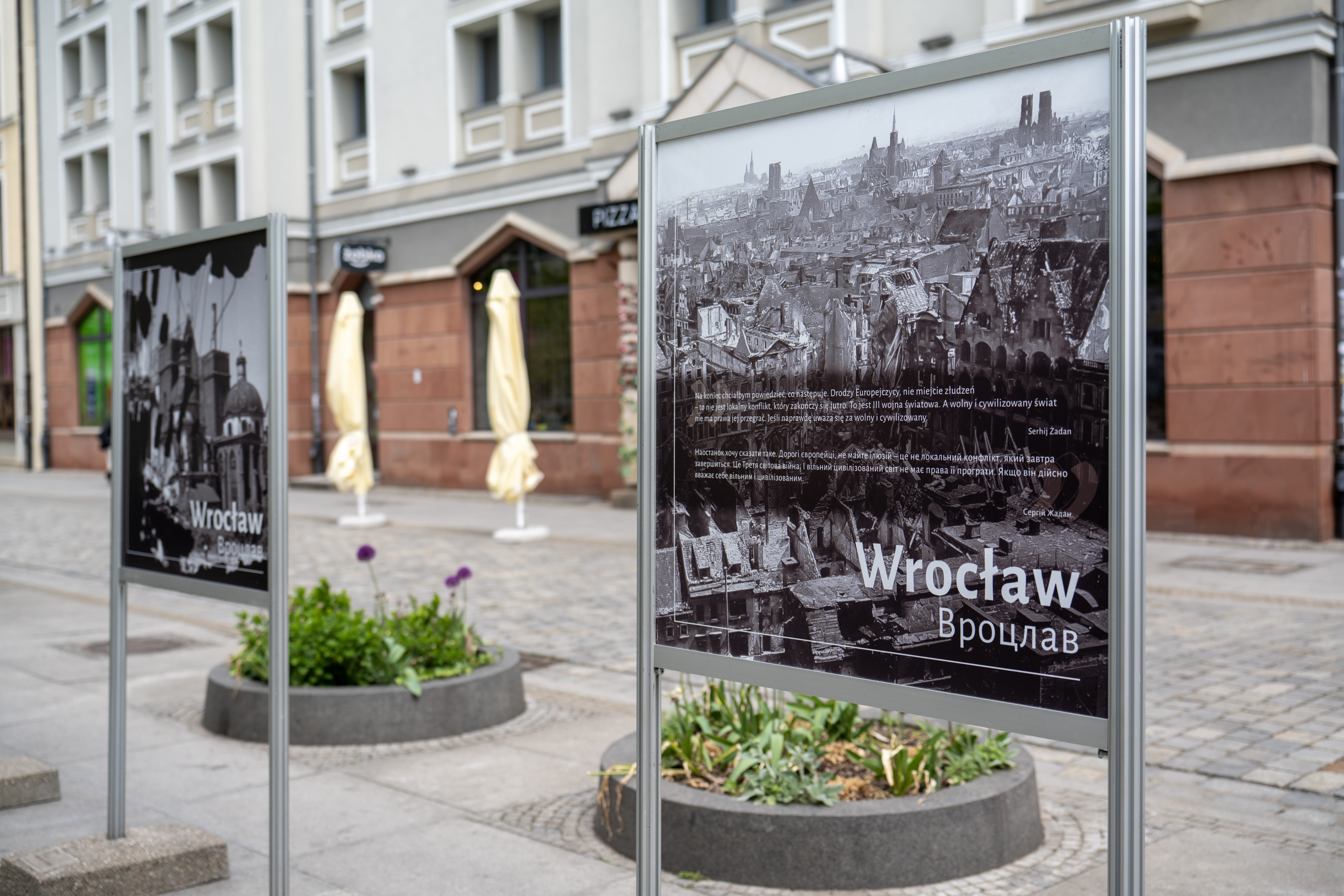 Poruszająca wystawa fotograficzna w centrum Wrocławia