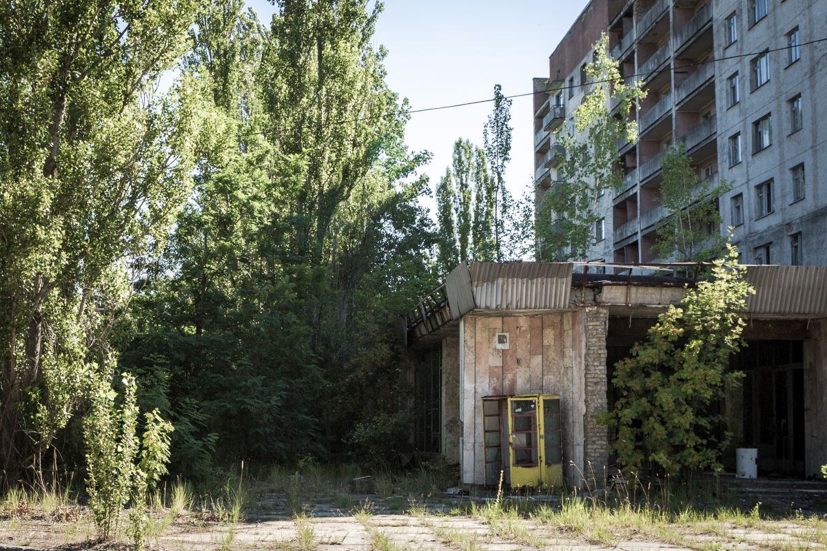 FOTO | Cum arată Cernobîl la 33 de ani de la dezastrul nuclear. Imagini cutremurătoare care arată cum natura își revendică drepturile