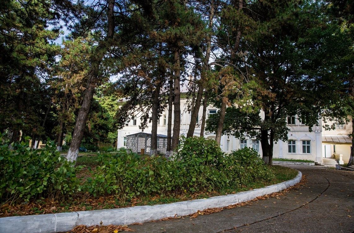 Castelul Cantacuzino-Ghica Deleni din județul Iași este scos la vânzare. Cât costă monumentul istoric impresionant / FOTO