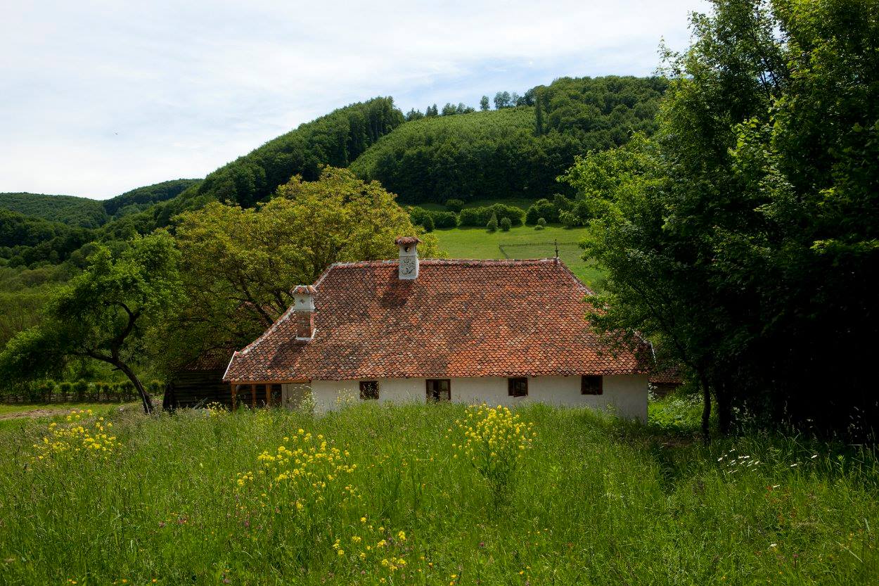 The New York Times a vizitat înainte de încoronare casa din Transilvania a regelui Charles, una dintre cele 56 de cabane, 12 case și 7 palate pe care acesta le deține