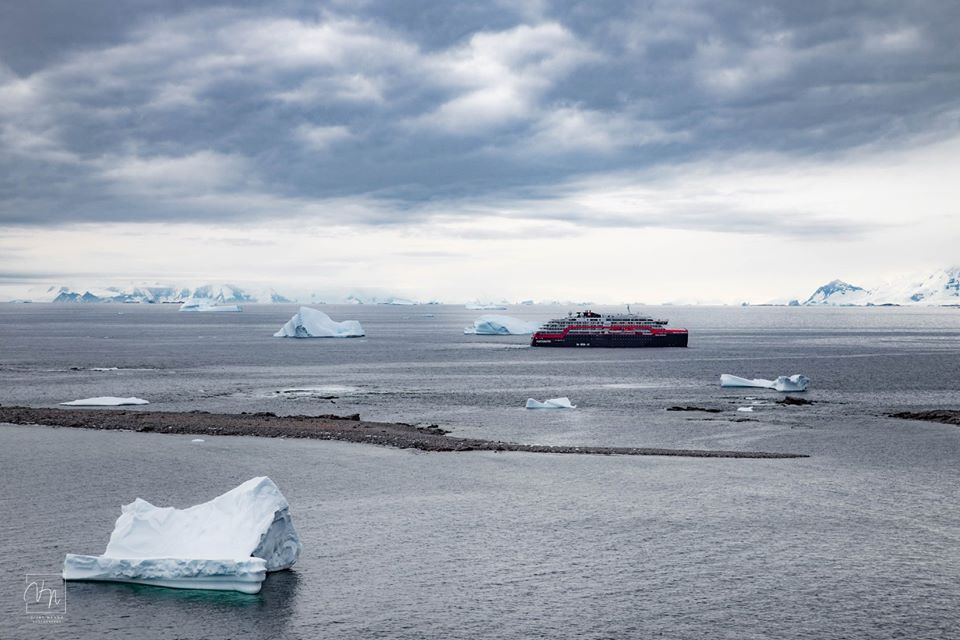 În carantină cu pinguinii. Povestea unui echipaj care s-a întors din Antarctica și a găsit toate granițele închise