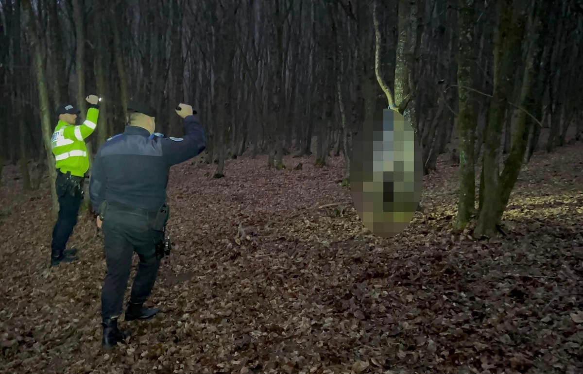 Câini spânzurați în pădure, în județul Bistrița. Poliția a deschis dosar penal și îi caută pe făptași