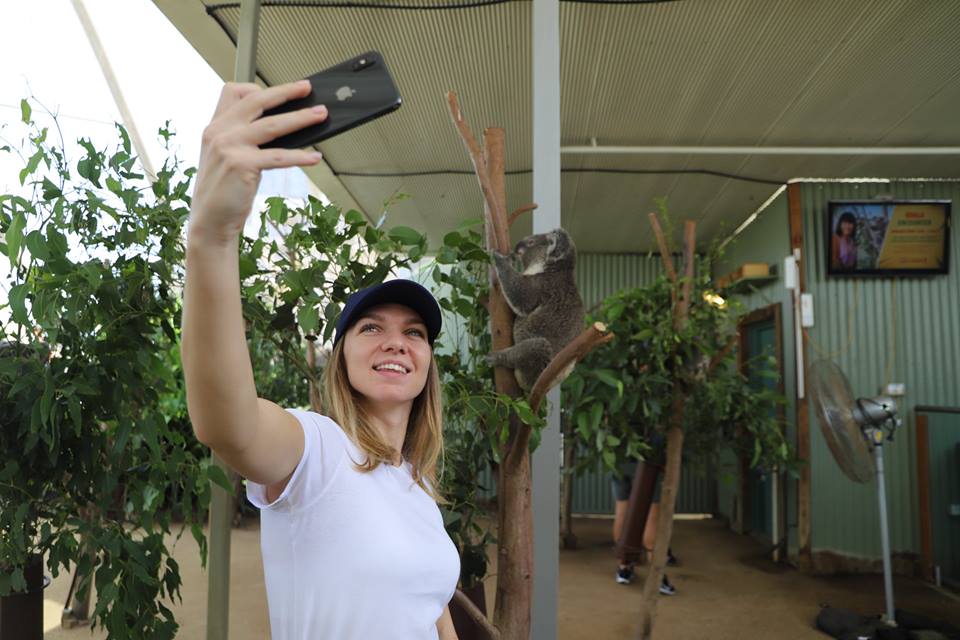 Simona Halep a vizitat grădina zoologică din Sydney. Liderul mondial debutează marți | GALERIE FOTO&VIDEO