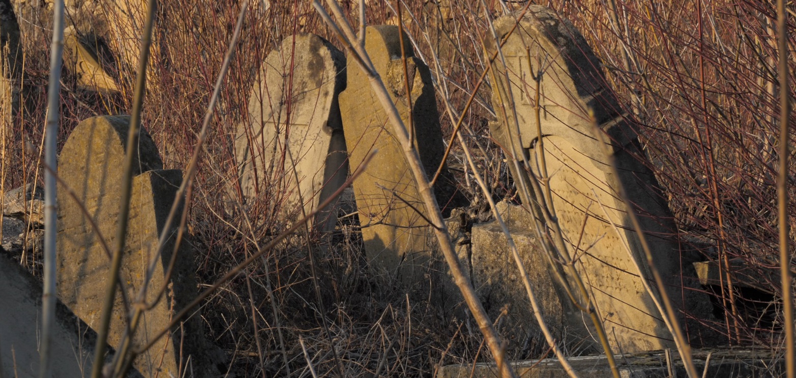 FOTO/VIDEO | „Pământul gemea de la oamenii îngropați de vii!” Reportaj cutremurător din Mărculești, o localitate scăldată în sânge, a cărei istorie neagră ne-a reamintit-o Dosarul „Moscova 2”