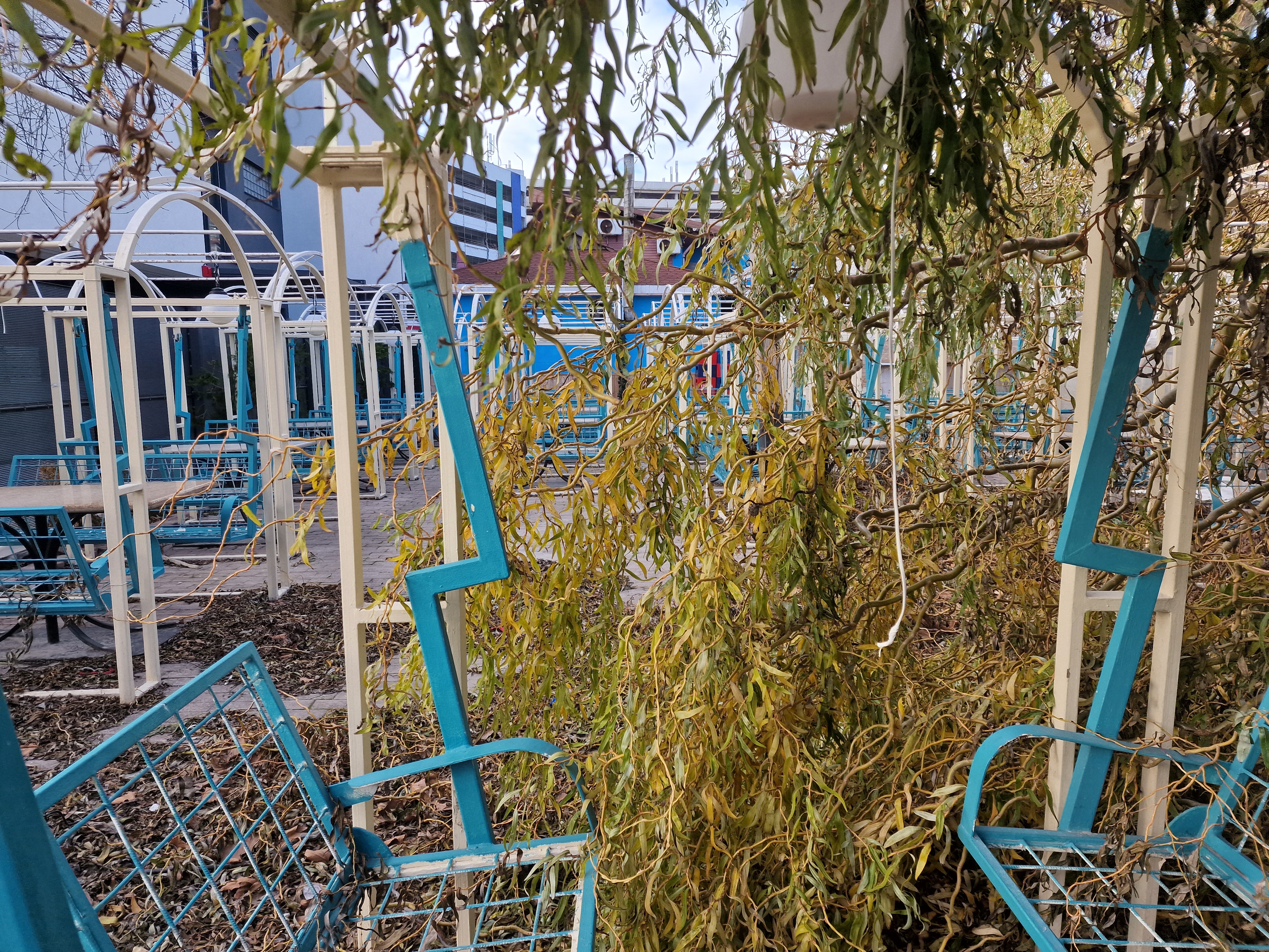 FOTOREPORTAJ Cum arată stațiunea Mamaia iarna: marea liniștii și plaja pescărușilor