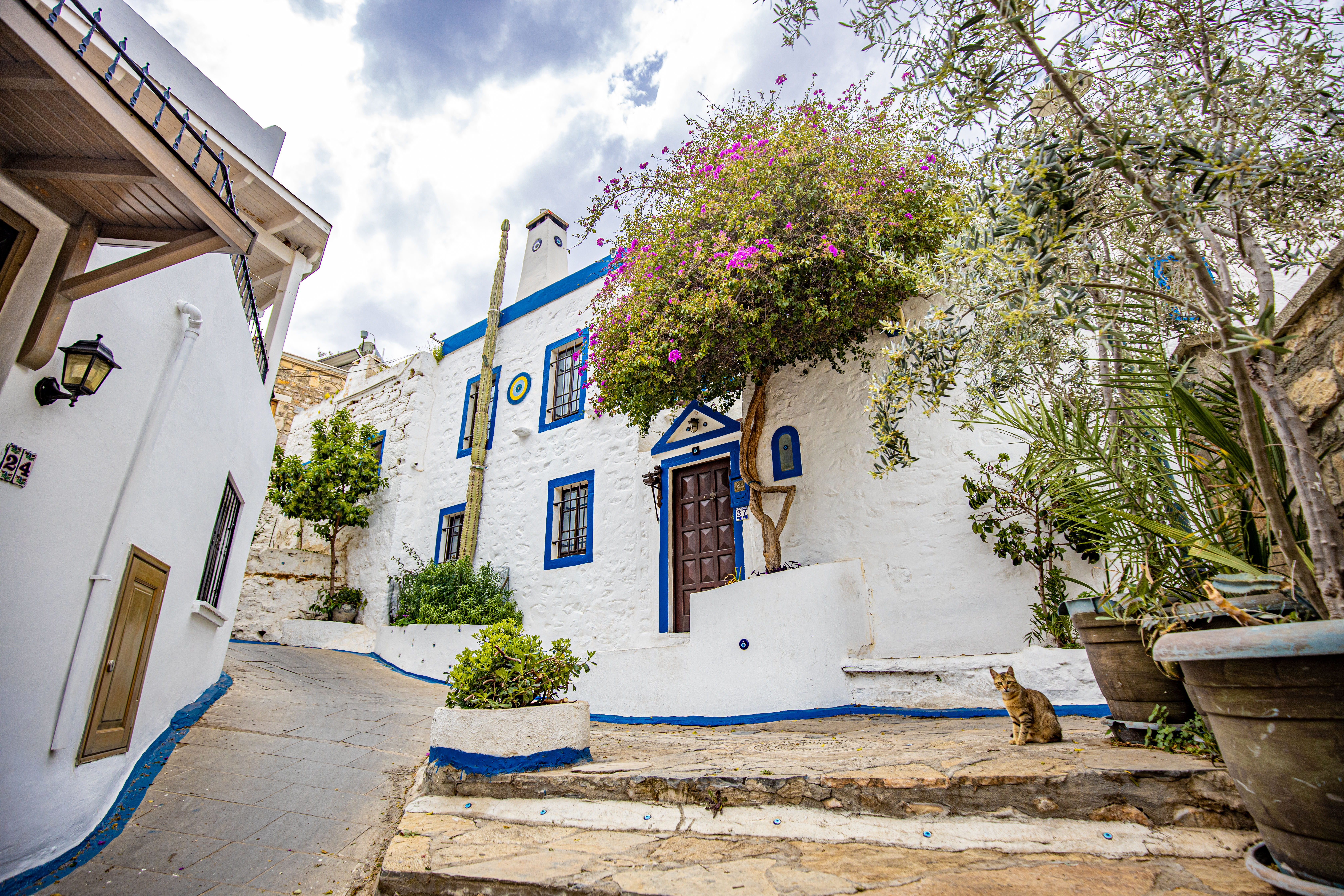 Bodrum (Trucia)