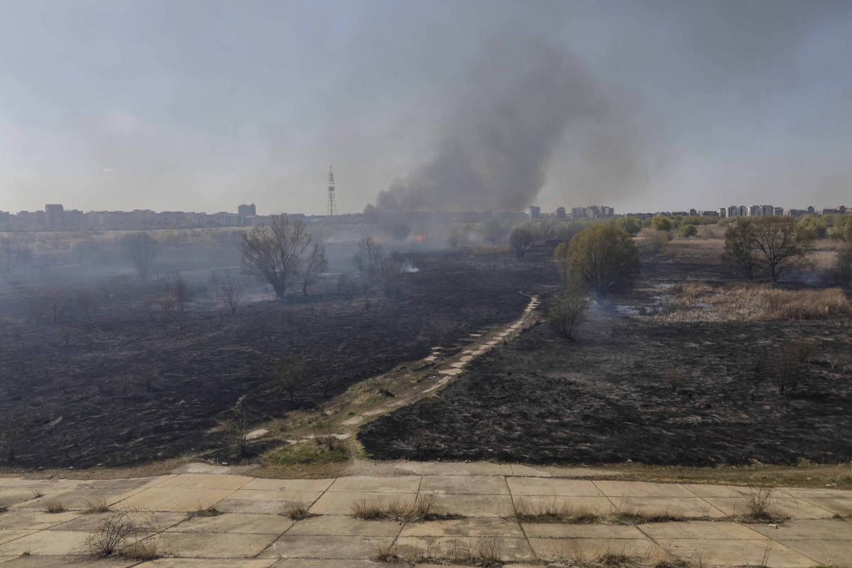 Incendiul din Delta Văcărești, stins după două ore. Ce suprafață a fost afectată