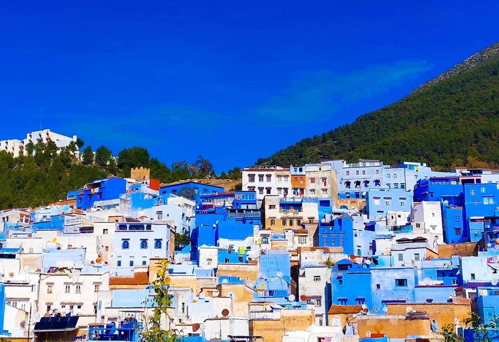 Morocco dethrones Egypt to become Africa’s most visited destination in 2024