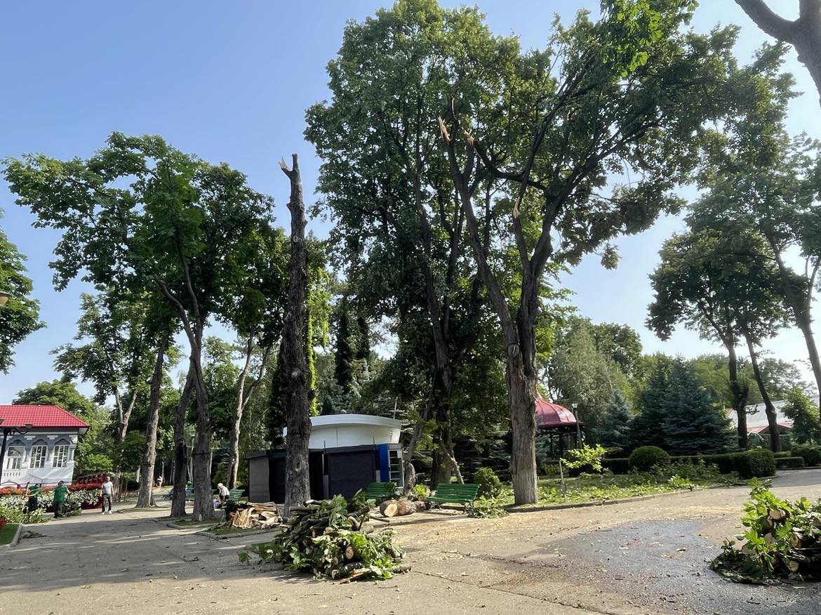 Cum arată Parcul Copou din Vaslui după ce a fost lovit de o furtună violentă. Copaci de 10 metri înălțime, smulși din rădăcină 