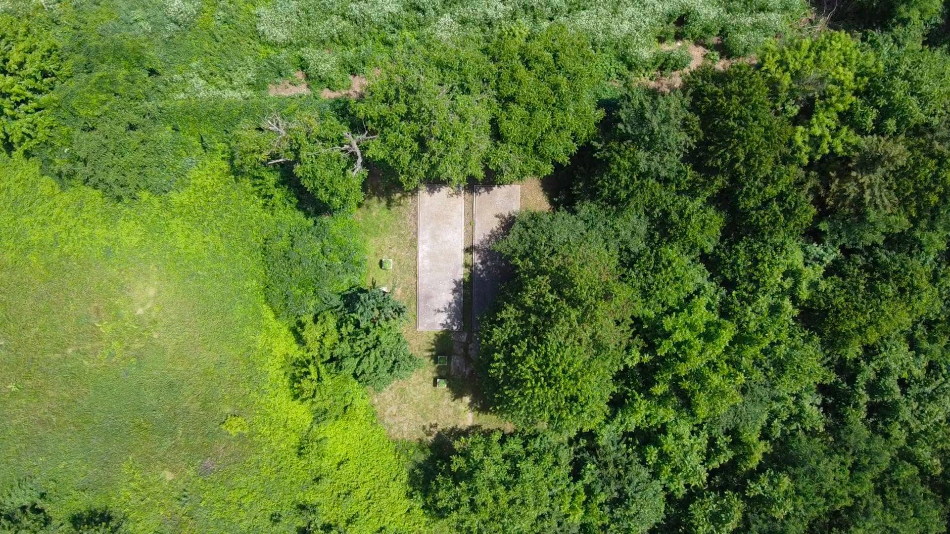 Urmele pogromului, văzute din cer. Gropile comune din Iași au fost filmate cu drona