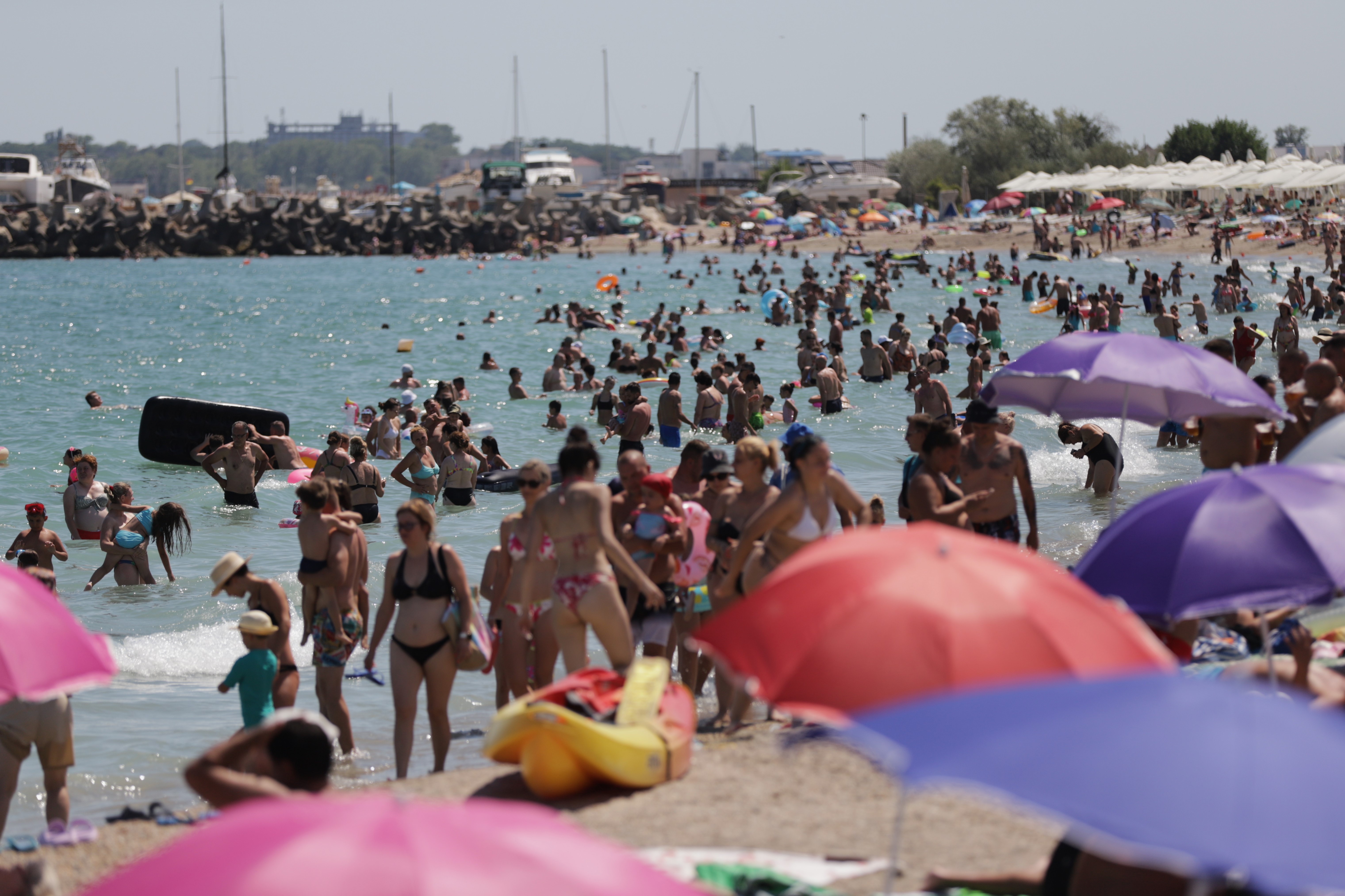 Prețurile de pe litoral: Eforie Nord vs Nisipurile de Aur. Cum se scumpeşte hamsia când înoată spre sudul Mării Negre