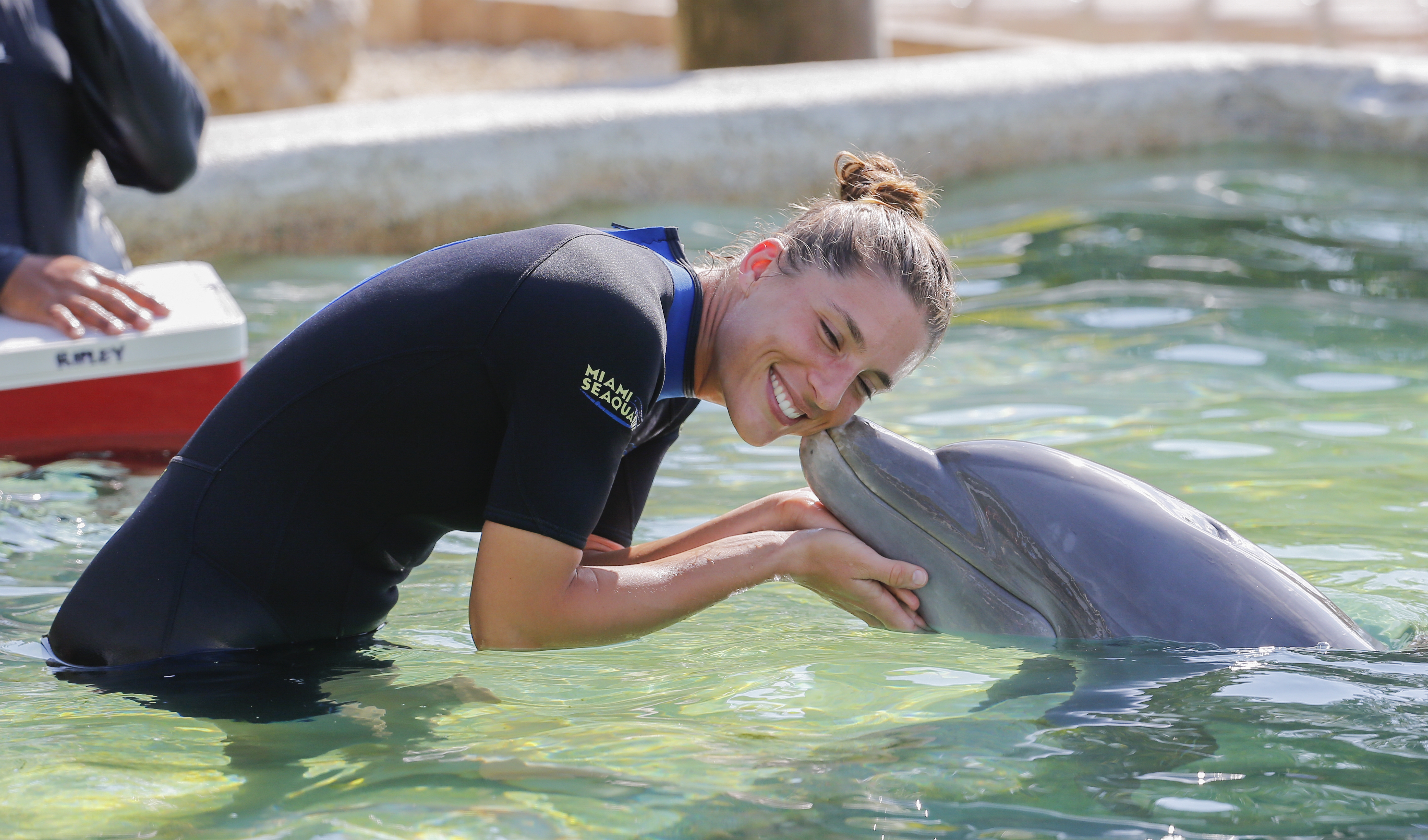 Vedetele tenisului mondial s-au zbenguit cu delfinii la Miami / FOTO & VIDEO