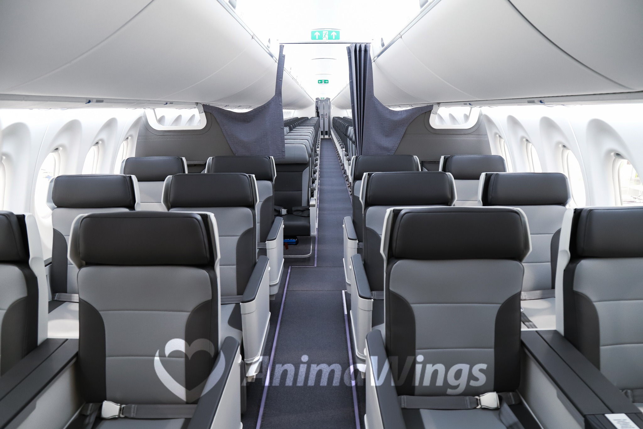 Prima aeronavă Airbus A220-300 din flota AnimaWings, singura de acest tip din România, a aterizat la București