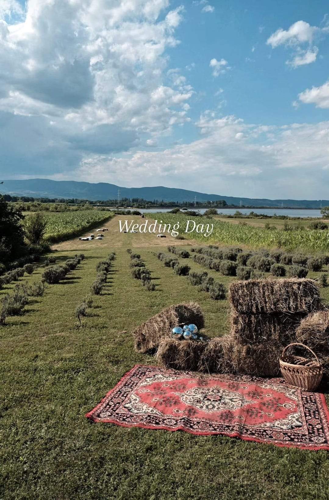 Victoria Răileanu și Adrian Ștefănescu s-au căsătorit religios. Imagini de la nunta organizată în mijlocul naturii
