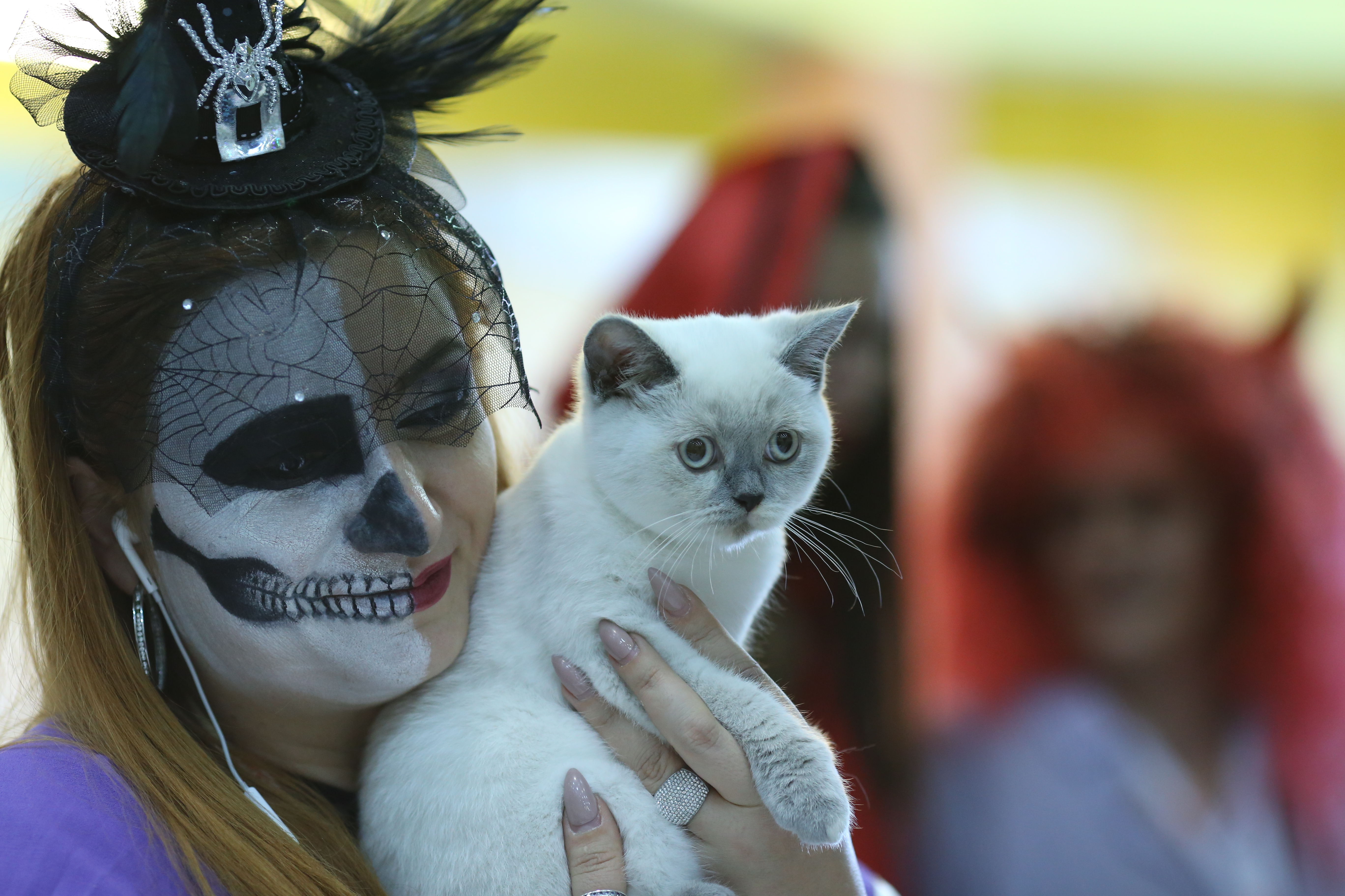 FOTO EXCLUSIV/ Expoziție de feline la Romexpo. Peste 250 de pisici de rasă din toată lumea vor putea fi admirate în acest weekend