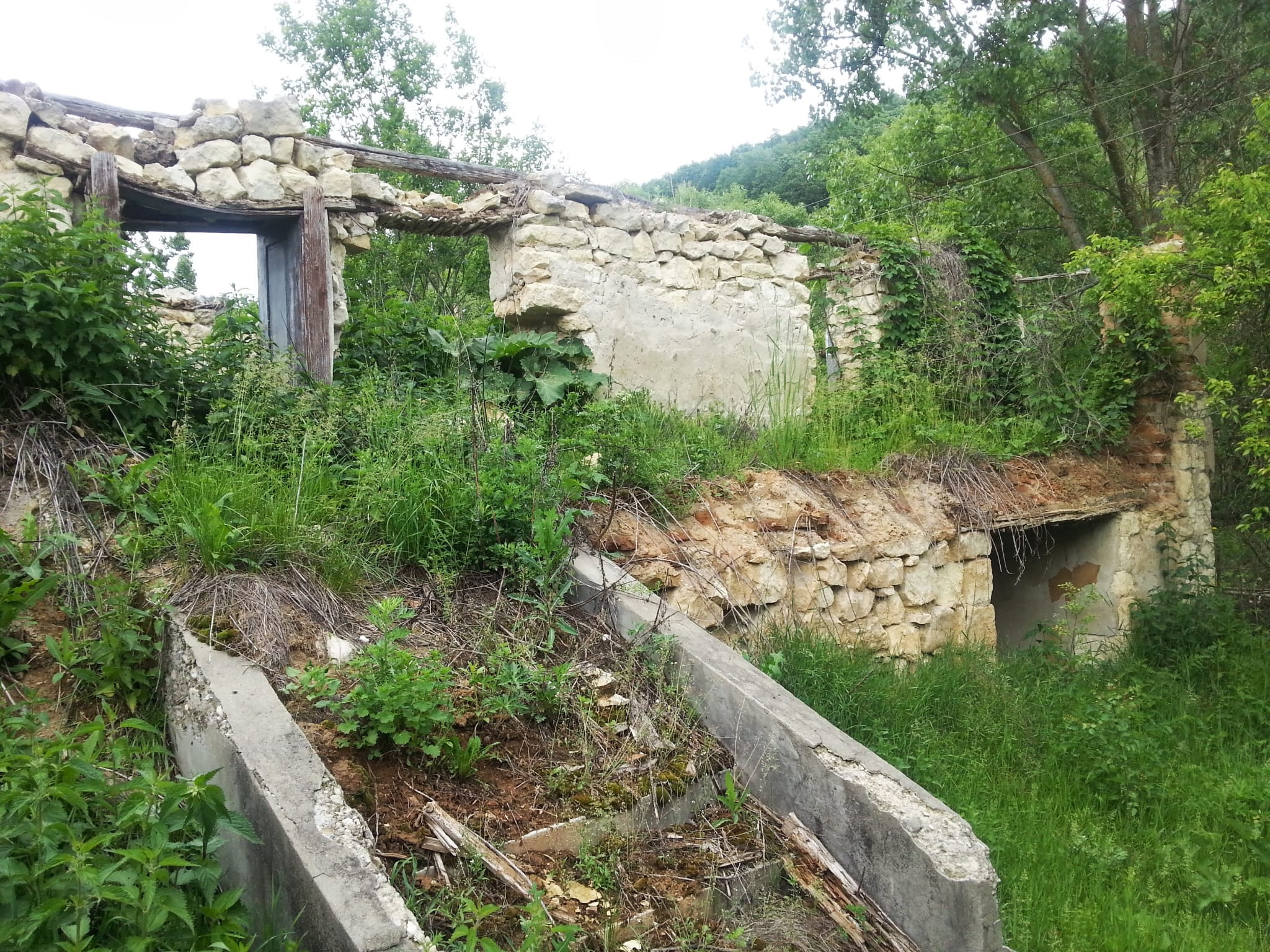 REPORTAJ. Problemele unui antreprenor întors acasă: „Cei de la ISU m-au întrebat: «Dar plan de evacuare cădere meteoriți aveţi?» Glumeau sau nu?”