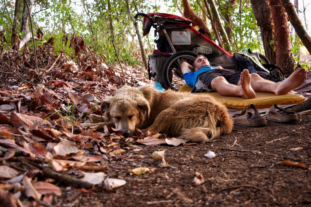 EXCLUSIV. Șapte ani cu un câine în jurul Pământului. Amenințat cu pușca de niște motocicliști, a fost salvat de contul de Instagram: „Am crezut că e game over”