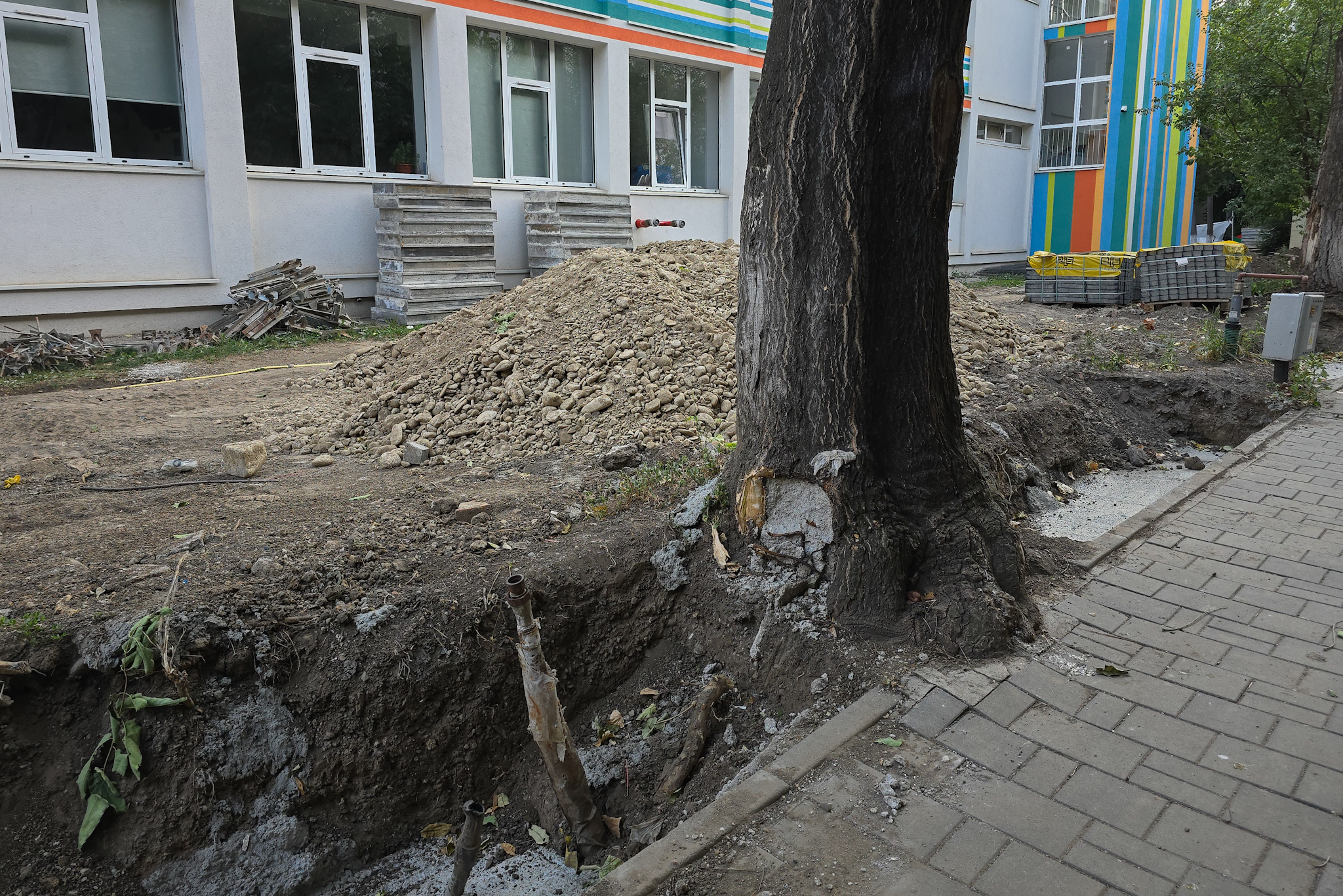 Au băgat excavatorul ca să facă șanțuri pentru gardul unei școli din București și au rupt rădăcinile a zeci de copaci