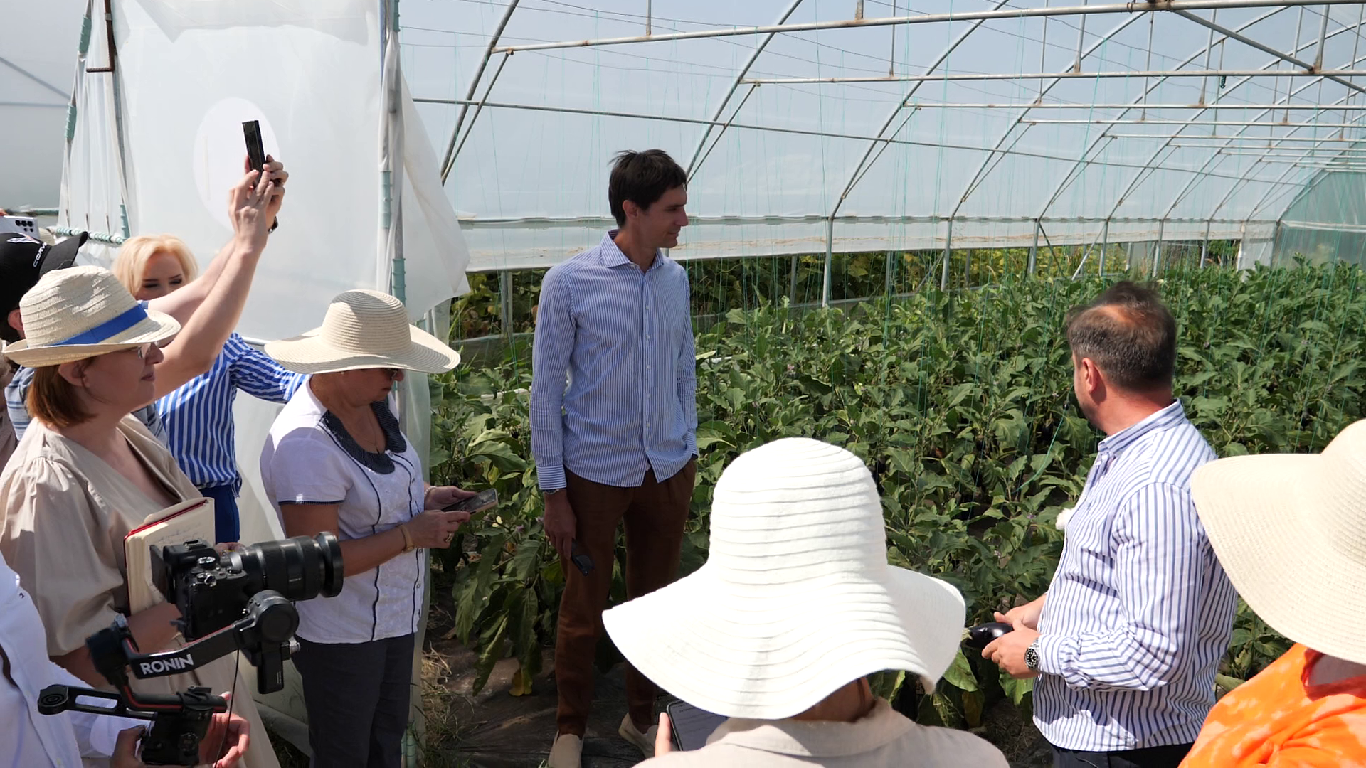 Ciprian Tătărușanu s-a apucat de agricultură și cultivă ardei iuți, dovlecei și vinete pe o suprafață de 10 hectare, în județul Dâmbovița