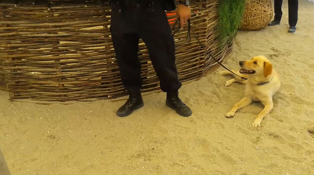 VIDEO EXCLUSIV/Armata Neversea, „blindată” până în dinți. Petrecăreții de pe litoral vor fi vegheați din umbră de orice fel de atac