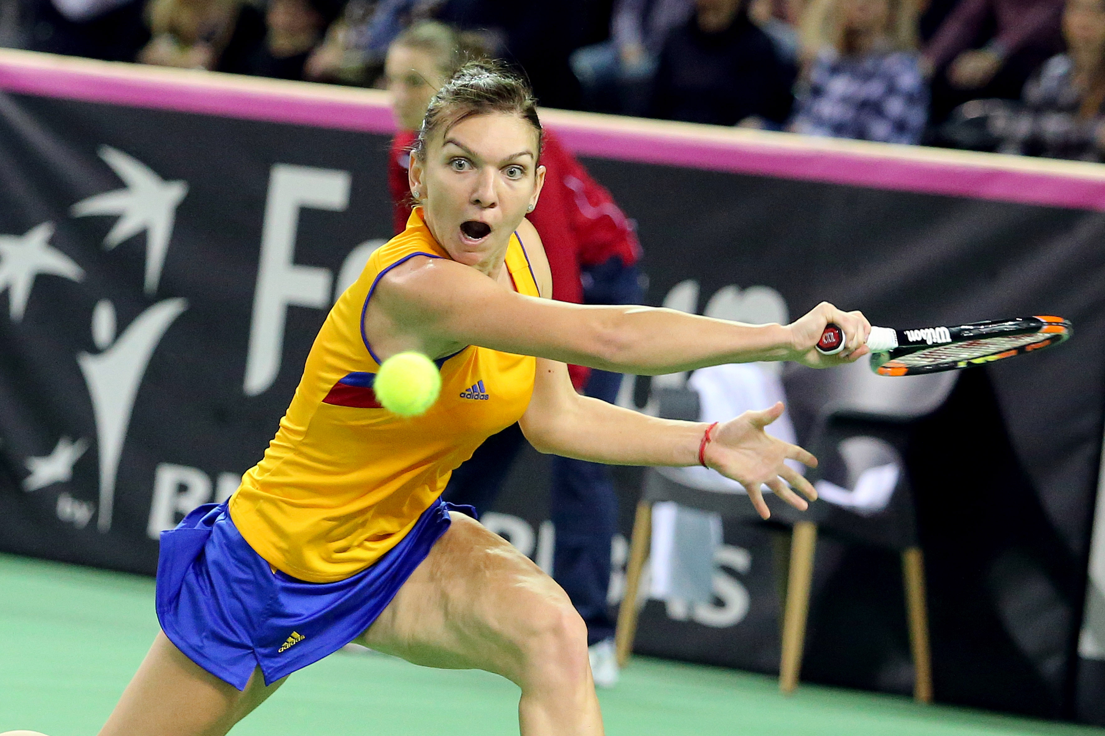 Fed Cup: România - Cehia 2-3, în ”sferturile” Grupei Mondiale. Ar fi fost prea frumos, am terminat în lacrimi! Am pierdut la dublu calificarea în semifinale, având o pereche deloc sudată, Mitu-Olaru. Halep o doborâse pe Kvitova, dublă câștigătoare la Wimbledon, iar Niculescu cedase la Pliskova. Pe 9 februarie, ne aflăm adversarele din baraj