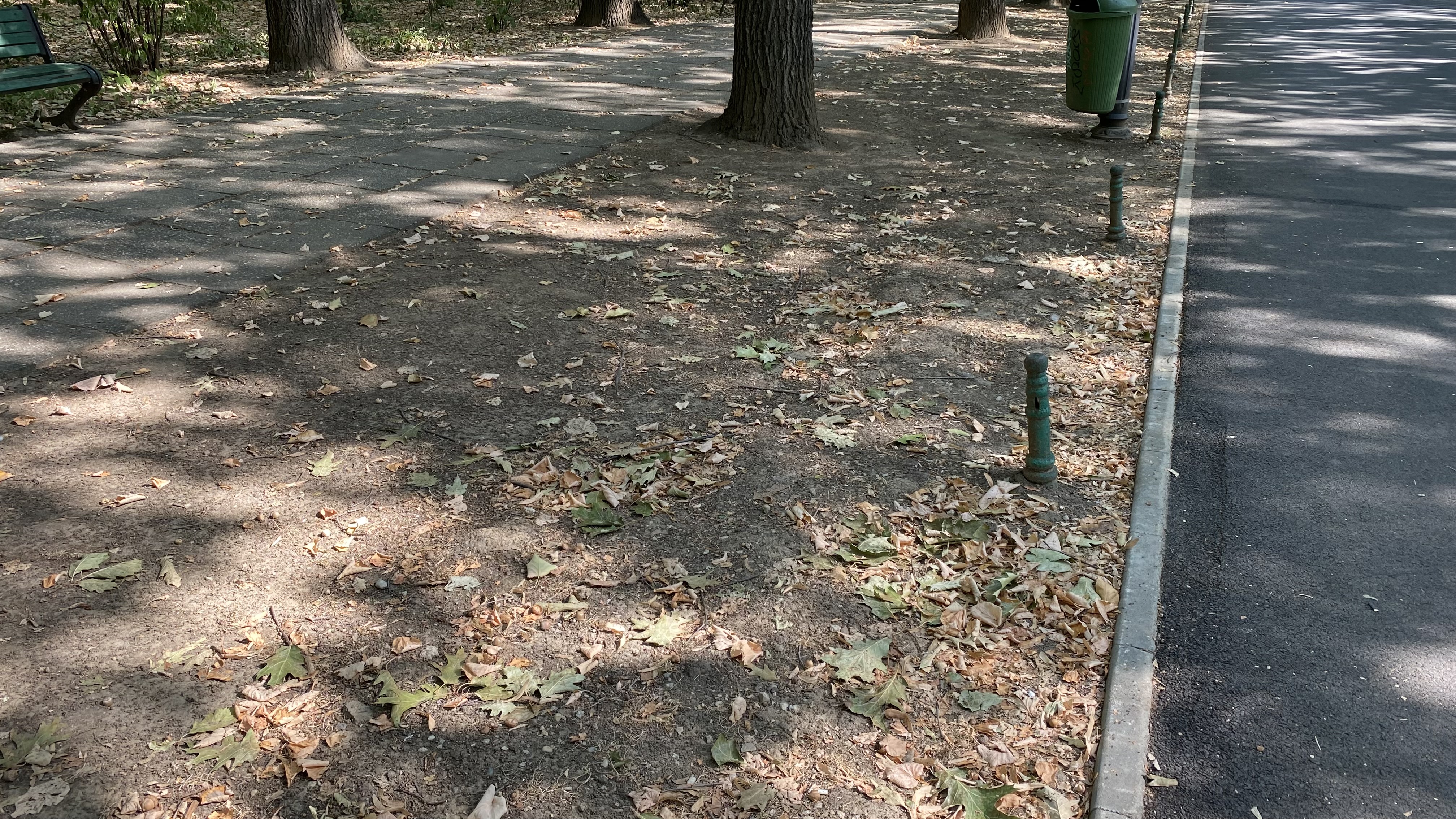 FOTO. Herăstrău, cel mai mare parc al Bucureștiului, arată mai rău ca niciodată. Trandafirii și zonele cu flori sunt istorie, clădirile pentru expoziții au fost vandalizate
